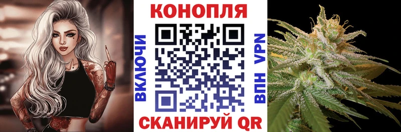 Купить где Верхоянск Канабис THC 21%